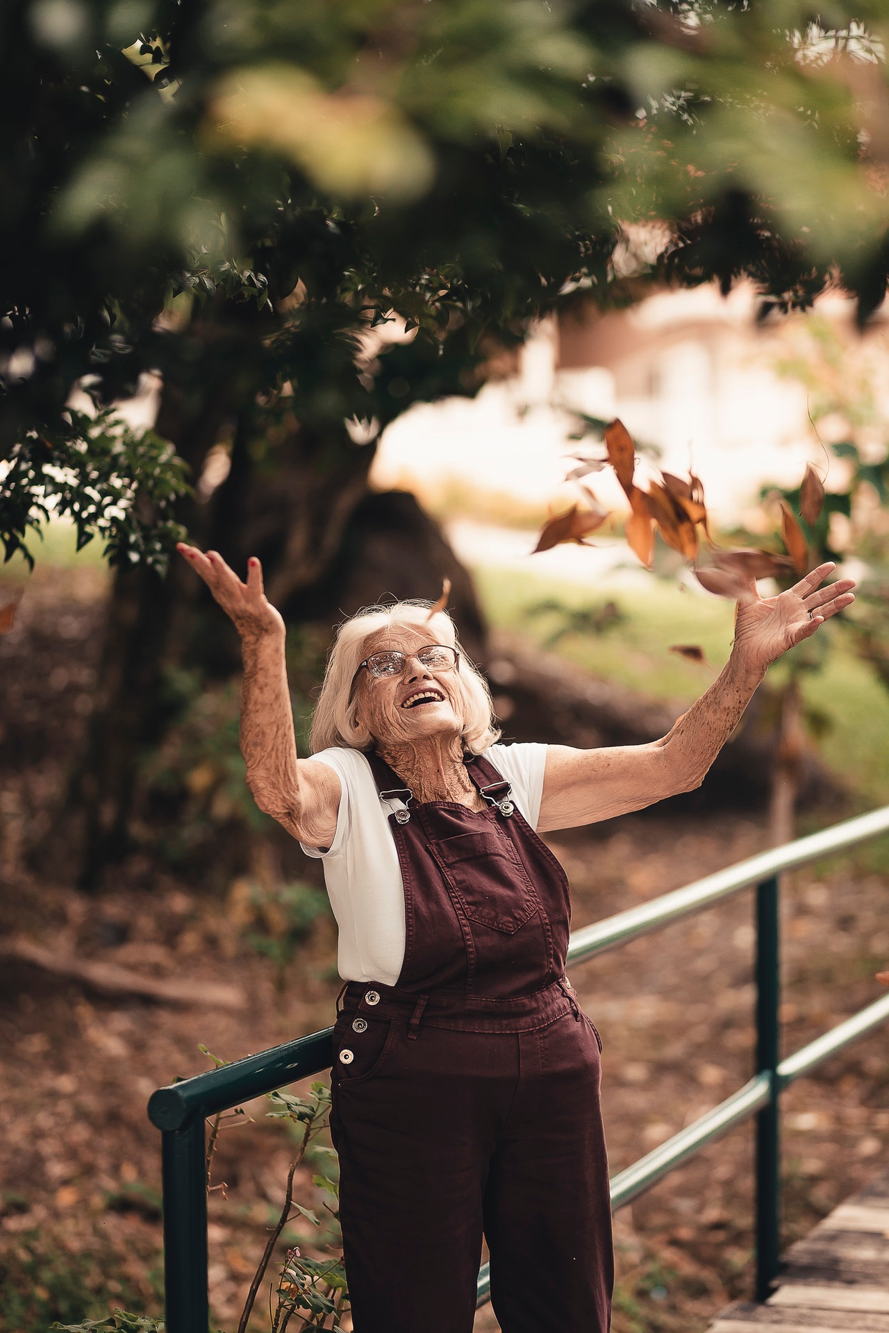 elderly-enjoyment-facial-expression-2050991.jpg elderly-enjoyment-facial-expression-2050991.jpg